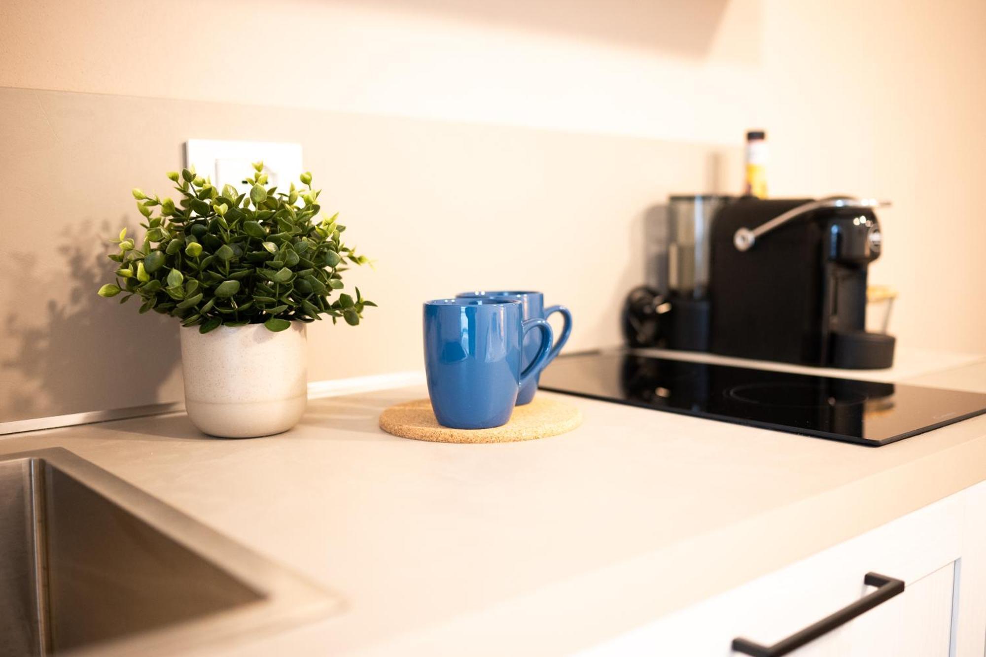 Apartment Borgonovo 33